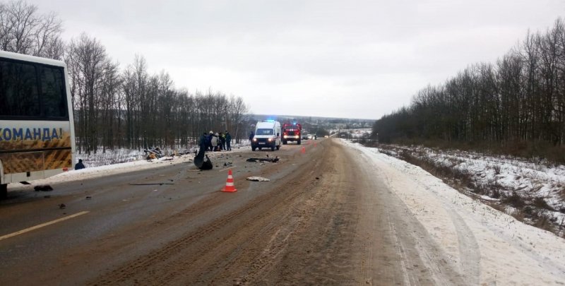 В Данковском районе Липецкой области сотрудники полиции устанавливают обстоятельства ДТП, в котором погибли  пассажиры микроавтобуса